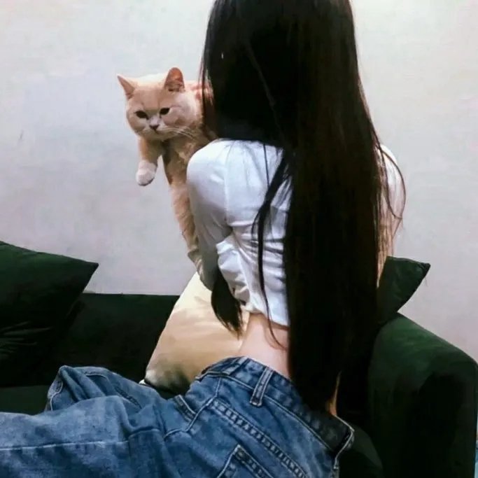 16次日出